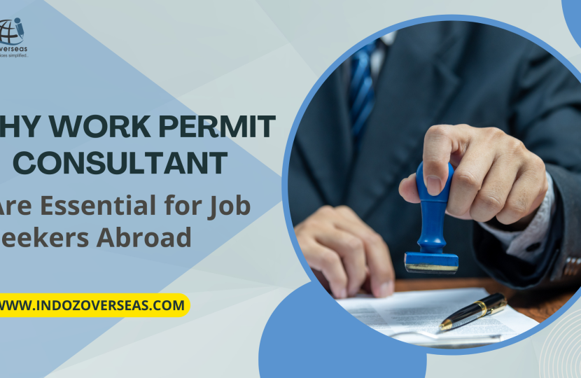 Why Work Permit Consultants Are Essential for Job Seekers Abroad