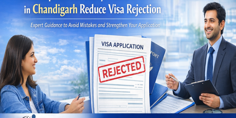 study visa consultation